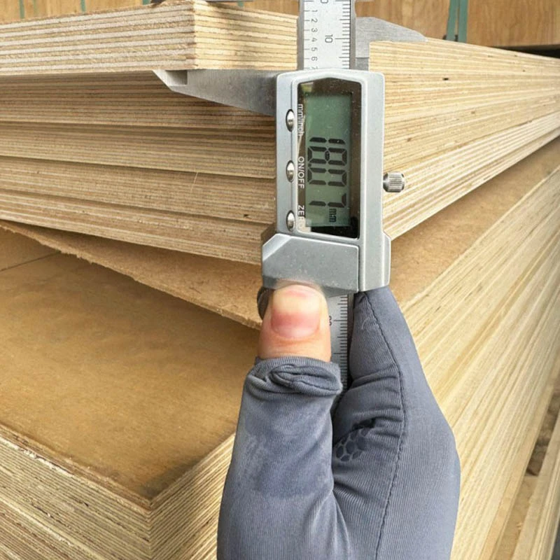 product-800-800